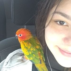 Meet your Posher, Liz